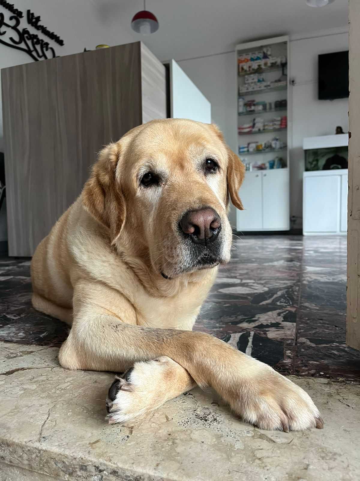 Internação Semi UTI Landing Image